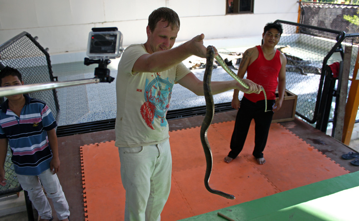 Шоу со змеями на Ко-Чанге